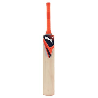 Puma Evospeed 2Y Kashmir Willow Cricket Bat, Size-1