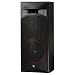 Cerwin Vega! CLS-15 15
