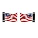 USA Flag Earrings
