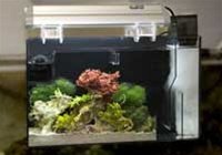 CPR Aquatics AquaFuge 2 Large Hang-on Back Refugium w Pump & Protein Skimmer Image CPR Aquatics AquaFuge 2 Large Hang-on Back Refugium w Pump & Protein Skimmer