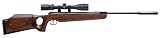 Ruger Air Hawk with Scope