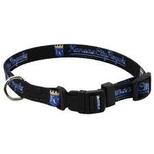 Kansas City Royals XS dog pet collar 7-13