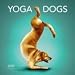 Yoga Dogs 2009 Wall Calendar