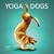 Yoga Dogs 2009 Wall Calendar