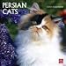 persian0 - Persian Cats 2010 Wall Calendar