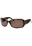 Fashion Sunglasses: Brown Panther/Brown Gradient