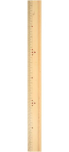 〔アダム商会〕 物差し Ace竹尺 30cm No.276