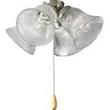 21X%2BKrTxqJL. SL160  Progress Lighting P2647 09 Four Light Universal Fan Light Kit with Clear Style Glass, Brushed Nickel