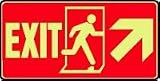 EMERGENCY AND FIRE E EXIT (W/GRAPHIC) (ARROW) (GLOW) 7