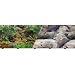 Double Sided Rain Fresh Aquarium Background, 19