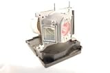 Smart 20-01032-20 replacement projector lamp bulb with housing - high quality replacement lamp
