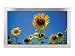LG MZ 50PZ43 - 50 FLATRON plasma panel - widescreen - 720p - HDTV monitor - silver  from LG Electronics