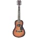  : First Act Discovery FG130 Student Acoustic Guitar