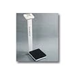 Digital Waist-High Personal Fitness Scale without Height Rod