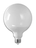 Tools & Hardware : Compact Fluorescent 19 Watt G40 Globe, 75 Watt Equivalent, Medium Base