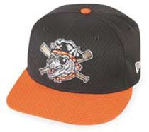 Minor League Baseball Cap - Erie Seawolves Batting Practice Cap by New Era