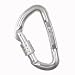Cypher Locking Electrolite Screwgate Carabiner