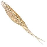 Shadlyn 4 Split Tail Lure