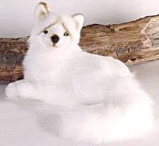 21X2N3Q1C5L Stuffed Arctic Fox w/Picture Hang Tag 13