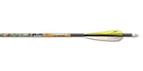 1 Dozen Carbon Express® Terminator® Lite Hunter Shafts 45 / 60