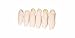 CUTTLEFISH BONE BOX OF 6