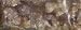 1 Lb Granular Olibanum Somali (frankincense) (IGOLIB)