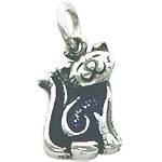 silver and purple cat charm