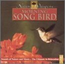 Nature Whispers: Morning Song Bird