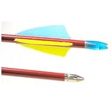 Economy Hardwood Target Arrow with 2 1/4