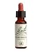 Hornbeam 20 ml ( Carpinus betulus ) Bach Flower Essences