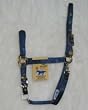 Hamilton Deluxe 3/4" Arabian Nylon Horse Halter with Adjustable Chin and Snap, Navy, Average (800-1100 lbs)