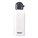 SIGG(VO) ANeBuj 0.6L zCg