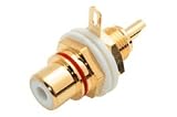 RCA Bulkhead Jack, Gold, Insulated Washer