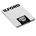 Photo : Ilford HP5 Plus - Black & white print film - 5 x 7" - ISO 400 - 25 sheets