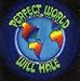 Image of Perfect World
