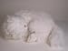   - White Persian, Sleeping - Lifelike Plush|One Size - 20 inches