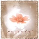 peaceful~love voice~