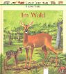 Im Wald. Große Tiere, kleine Tiere. ( Ab 4 J.). Im Wald. Große Tiere, kleine Tiere. ( Ab 4 J.).