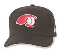 Minor League Baseball Cap - Hickory Crawdads Home Cap by New Era