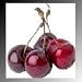 1 oz Candle * Soap Scent * Black Cherry