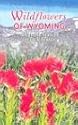 Wildflowers of Wyoming