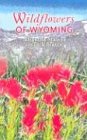 Wildflowers of Wyoming