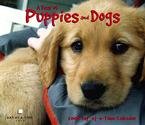 A Year of Dogs and Puppies 2008 Calendar