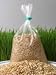 Tools & Hardware : Organic Barley Seed - 4.5 Lbs - Use for Ornamental Barleygrass, Barley Grass for Juicing, Grind for Barley Flour & Bread, Use in Beer Making & More. Excellent Germination Rate.