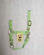 Hamilton Deluxe 1" Nylon Horse Halter with Adjustable Chin and Snap, Lime Green, Small (500-800 lbs)