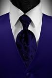 Tuxedo Vest - Royal Blue Solid Satin with Coordinating Tapestry Tie