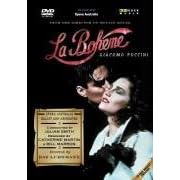 La Boheme - Pal [DVD] [1993]