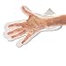 Galaxy Polyethylene Disposable Food Handling Gloves, Large, 1000 per Carton