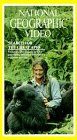 City Travel Guides Discounted  VHS : National Geographic Video: Search for the Great Apes (1975)
