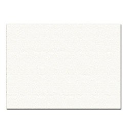 12.5 x 17.75 Grease Filter (15-0118) by Deep Fryers